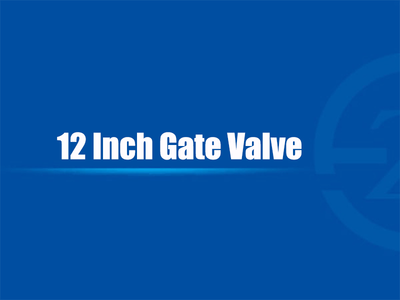 12 Inch Gate Valve