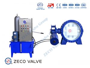 Combined Butterfly Check Valve