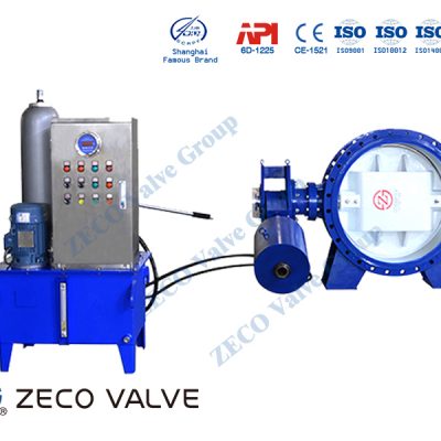 Combined Butterfly Check Valve