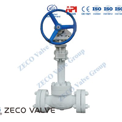 Cryogenic Globe Valve