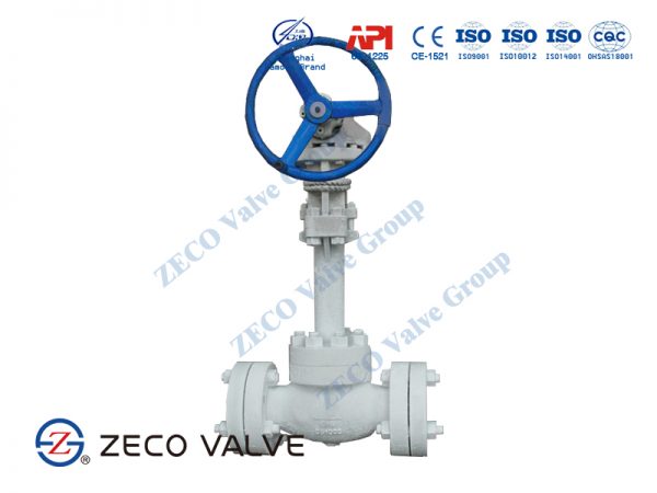 Cryogenic Globe Valve