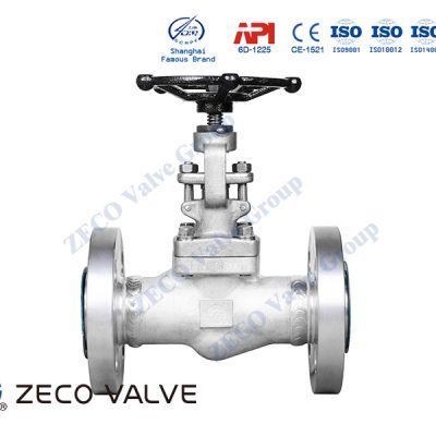 Forged Globe Valve