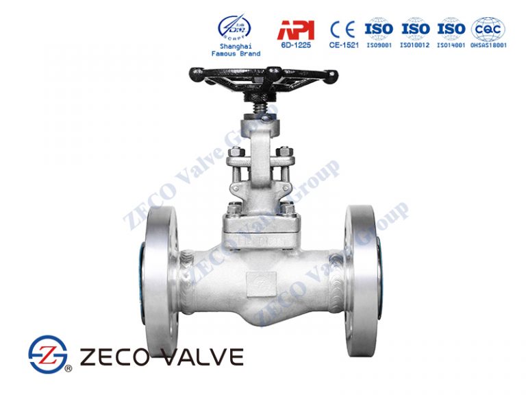 Stainless Steel Globe Valve Flow Direction API 602 Globe Valve