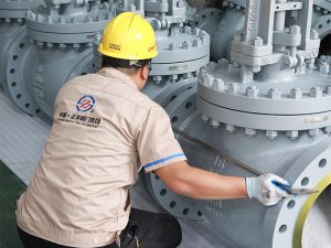 Gear Operated Globe Valve