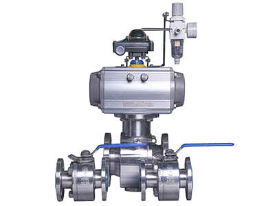 Stainless Steel Floating Ball Valve