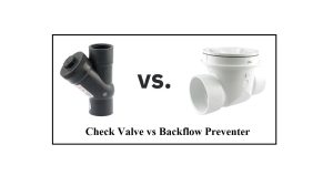check valve and backflow preventer