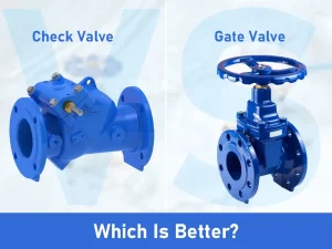 Gate Valve vs Check Valve