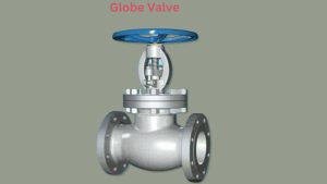 are globe valves directional