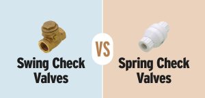 swing check valve vs spring